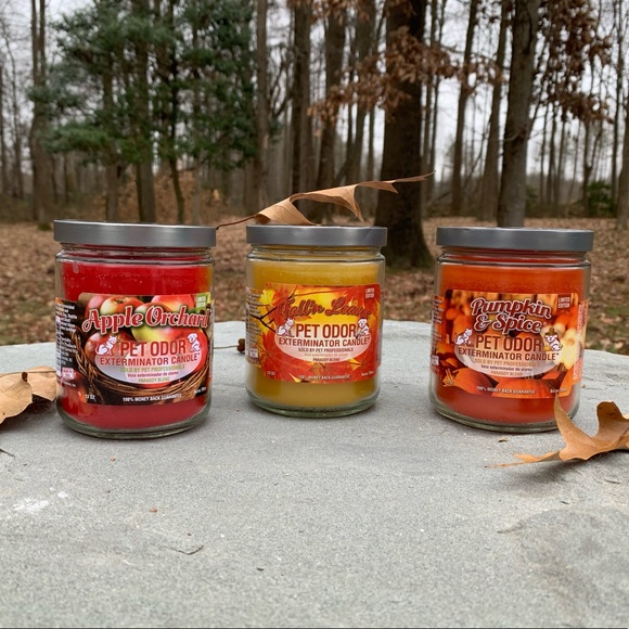 Pet Odor Exterminator Other - 🍁 🍂 Fall Pet Odor Exterminator Candle Bundle 🏵 🏡